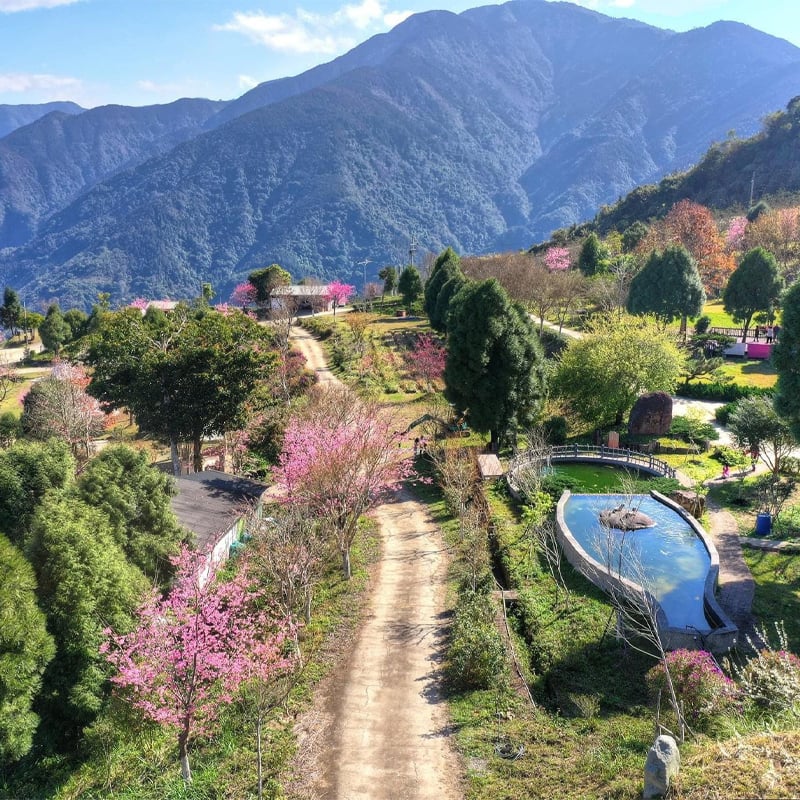 2021｜仲夏螢火季